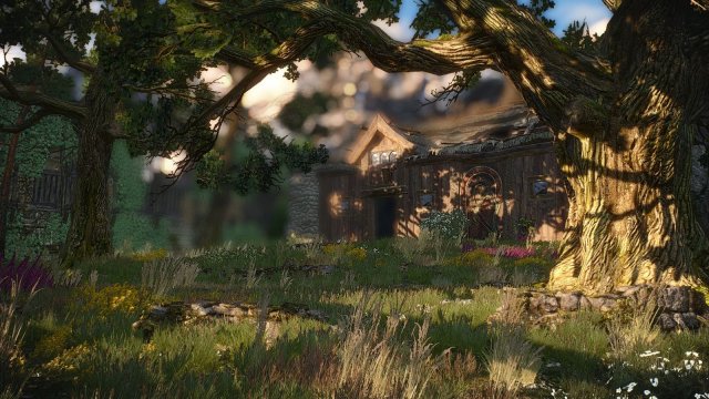 The Witcher 3 Screenshot 2025.05.27 - 22.03.30.80.jpg