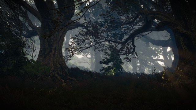 The Witcher 3 Screenshot 2025.06.04 - 22.27.54.31.jpg