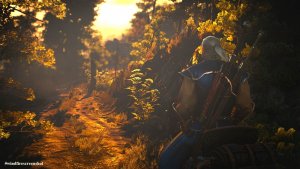 ПЕЙЗАЖНОЕ, с Геральтом. Ведьмак III (сборка Торна)