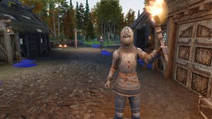 Дюршлаг двойного назначения)).