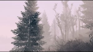 Туманно. Fallout-4 (Сборка 11)