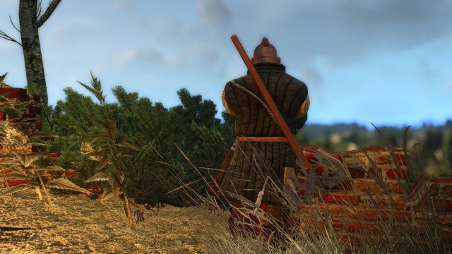 The Witcher 3 Screenshot 2025.05.04 - 21.52.35.51.jpg