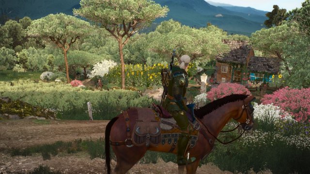 The Witcher 3 Screenshot 2025.12.27 - 18.41.33.46.jpg