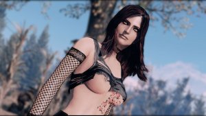 Бдительность. Fallout-4 (Сборка 11)